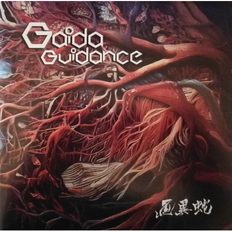 Gaida– Guidance