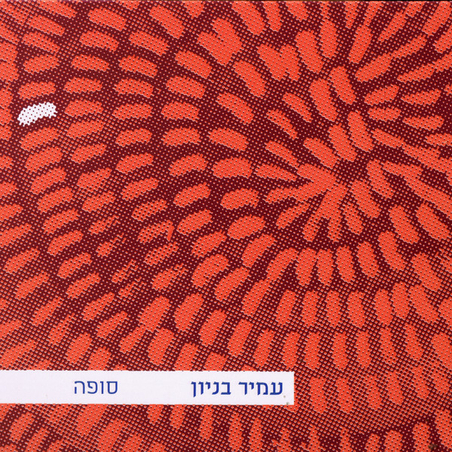 עמיר בניון- סופה