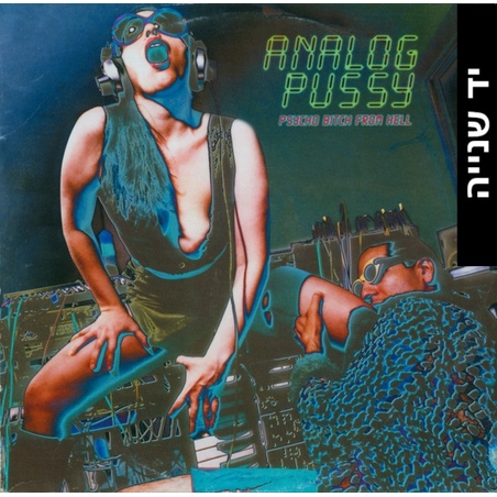 Analog Pussy – Psycho Bitch From Hell
