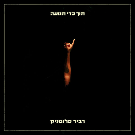 רביד פלוטניק – תוך כדי תנועה
