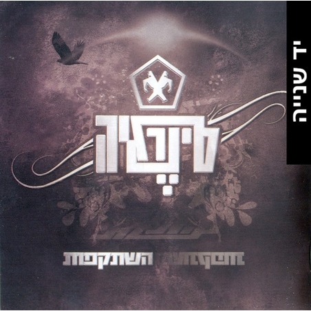 סינרגיה- השתקפות