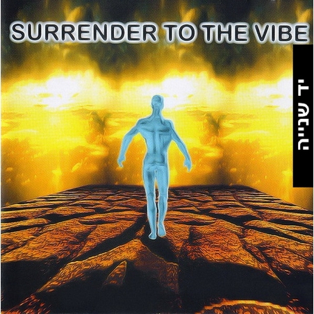 Surrender To The Vibe