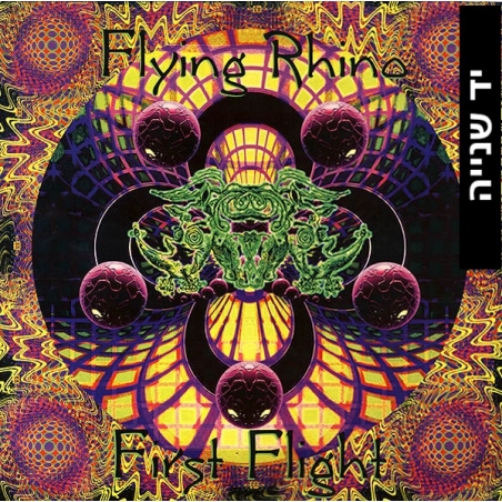 Various ‎– First Flight