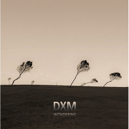 DXM - Wondering