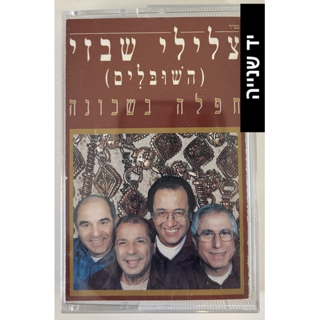 צלילי שבזי (השובלים)- חפלה בשכונה