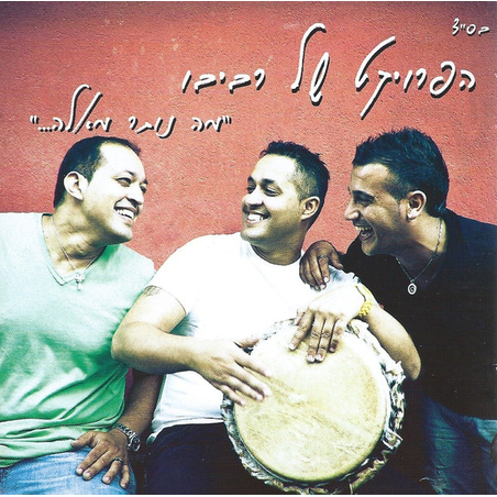 הפרויקט של רביבו – מה נותר מאלה