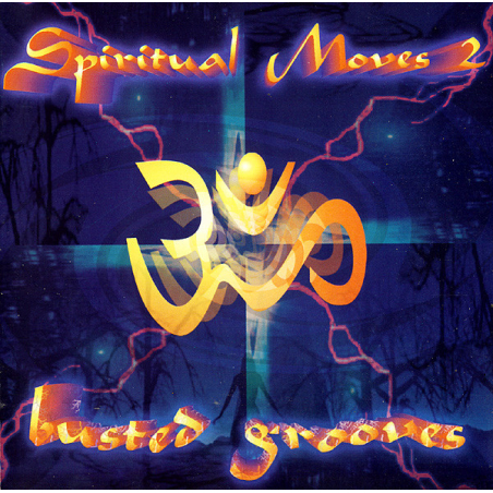 Various – Spiritual Moves 2 - Busted Grooves