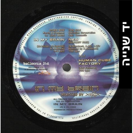 Various – In My Brain