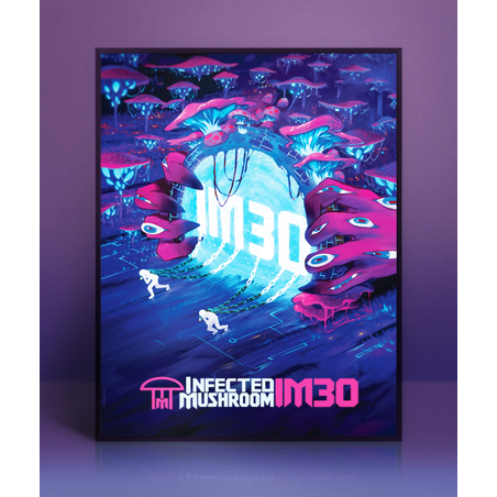 IM30 – Official Poster PRE ORDER