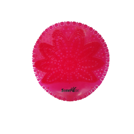 20201030_105821-removebg-preview.png