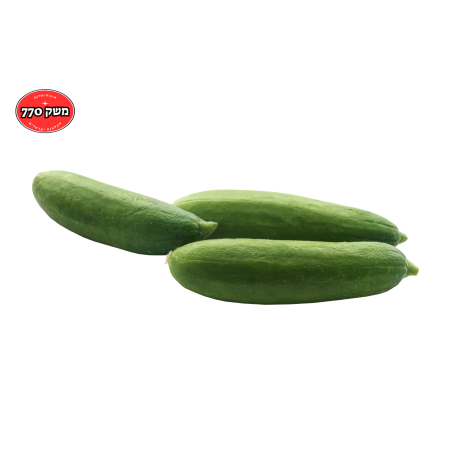 בייבי מלפפון