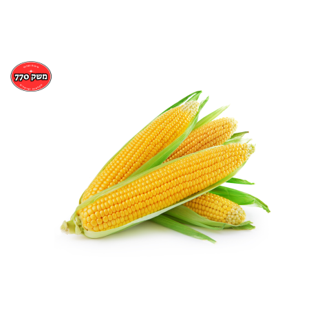 תירס צהוב