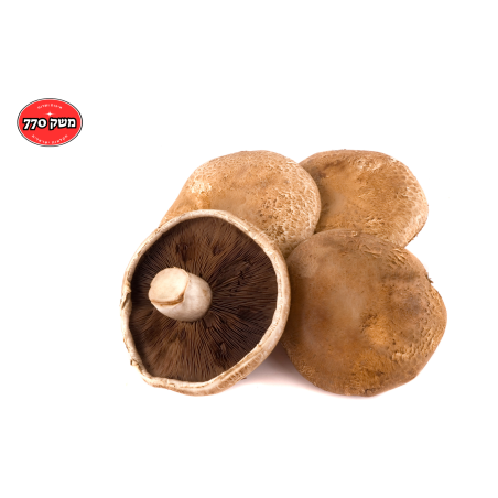 פטריות פורטובלו