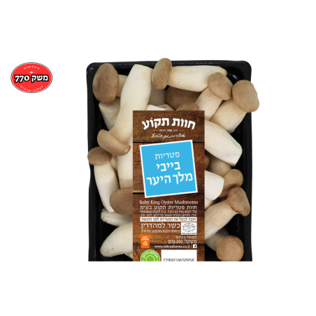 פטריות בייבי מלך היער
