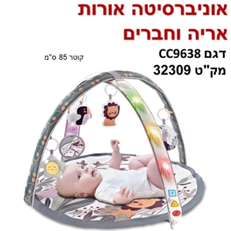אוניברסיטה דגם:אורות אריה וחברים בייבי מישל