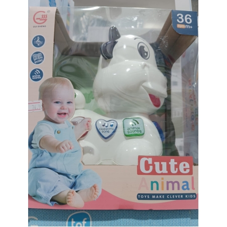 cute animal