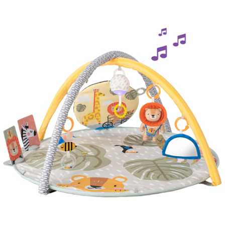 אוניברסיטה פעילות סוואנה 360- TAF TOYS