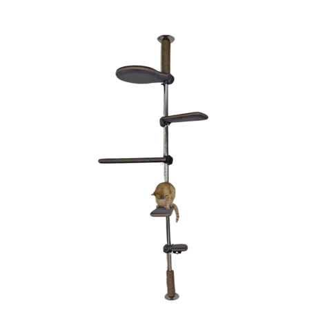 ערכה בסיסית