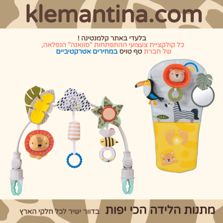 צעצועי התפתחות