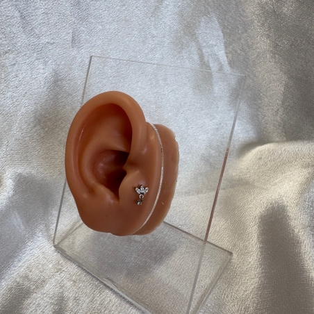 עגיל טראגוס לוטוס