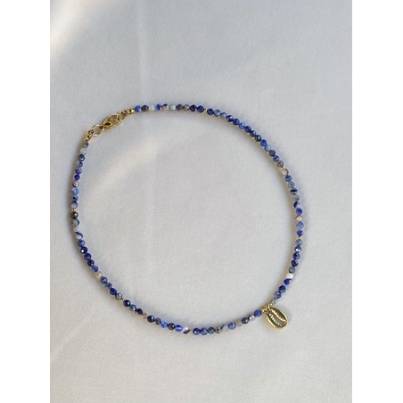 שרשרת Blue Shell