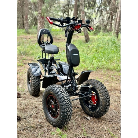 איזיריידר - ezrider