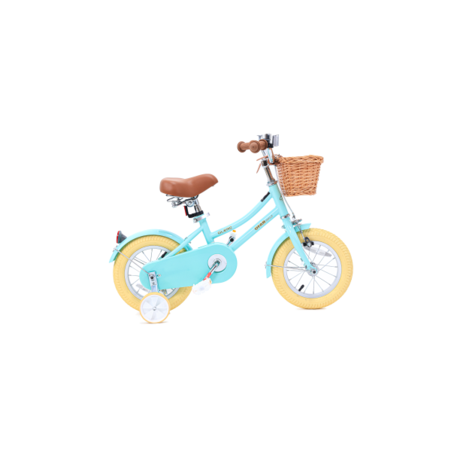 12- VINTAGE אופניים