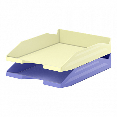 מסחנית נייר 2 תאים צהוב סגול פסטל