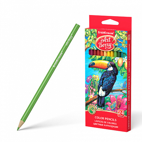 ARTBERRY עפרונות צבעוניים משולש 24 יח