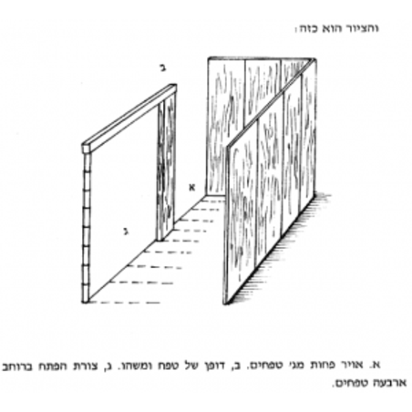 דופן 60