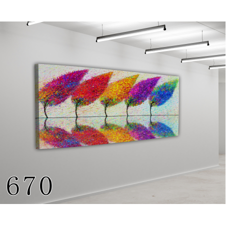 תמונה דגם 670