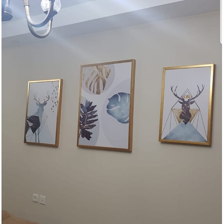 תמונות מהבתים שלכם 30