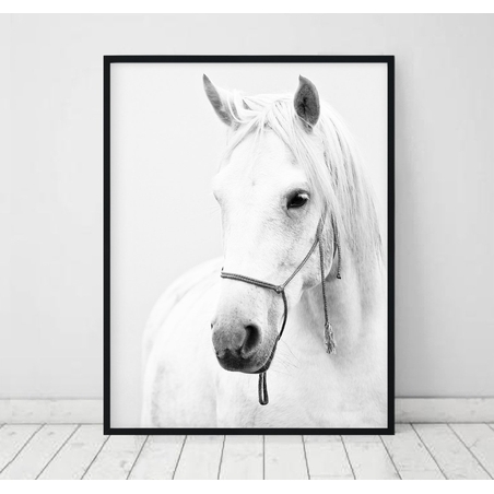 סטים בהרכבה עצמית תמונה דגם 506