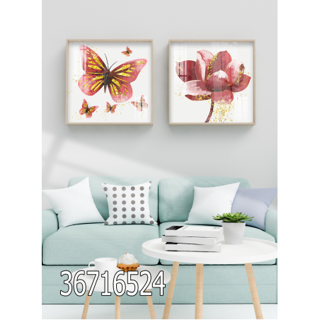 זוג תמונות דגם 36716524