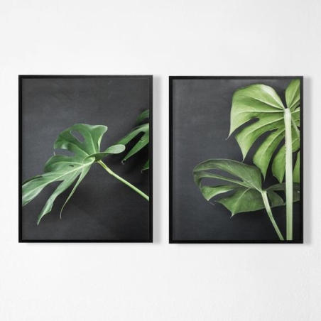 זוג תמונות  דגם  262