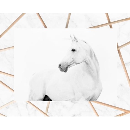 תמונת קנבס מעוצבת דגם 300