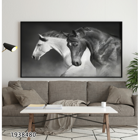תמונה בשחור לבן של סוסים לסלון לחדר השינה או למשרד על קנבס או זכוכית במבחר מידות דגם-1938480
