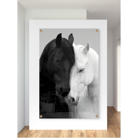 תמונת זכוכית של שני סוסים, אחד שחור ואחד לבן, מבטאים איזון והרמוניה בעיצוב יוקרתי מבית תכשיט לבית – NEXTGEN BY BAR.