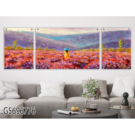 תמונה מחולקת לסלון מודפסת על זכוכית דגם G5696776