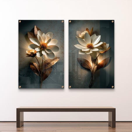 זוג תמונות זכוכית 