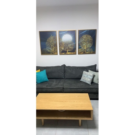 תמונות מהבתים שלכם 13