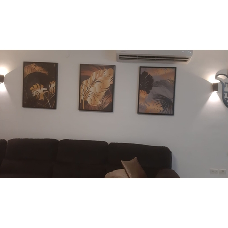 תמונות מהבתים שלכם 17