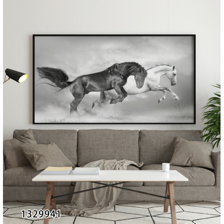 תמונה בשחור לבן של סוסים לסלון לחדר השינה או למשרד על קנבס או זכוכית במבחר מידות דגם-1329941