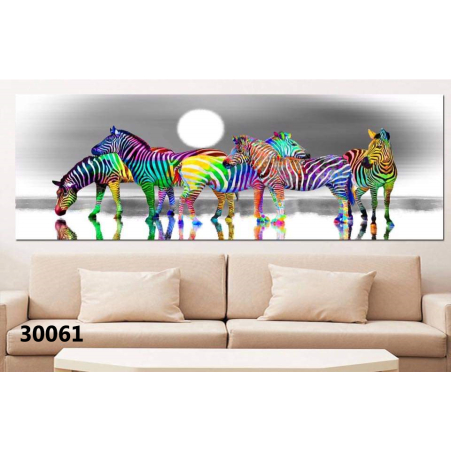 תמונה דגם 30061