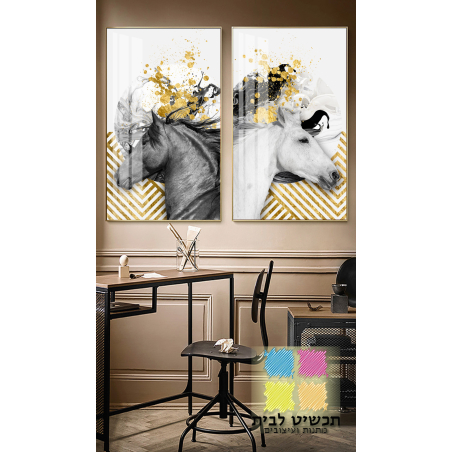 זוג תמונות דגם 89603