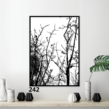 סטים בהרכבה עצמית תמונה דגם 242