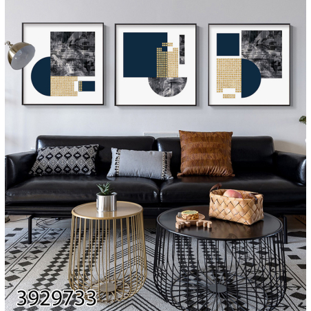 שלישיית תמונות מרובעות לסלון על קנבס עם אפשרות זיגוג דגם 3929733