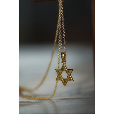 שרשרת תליון מגן דוד