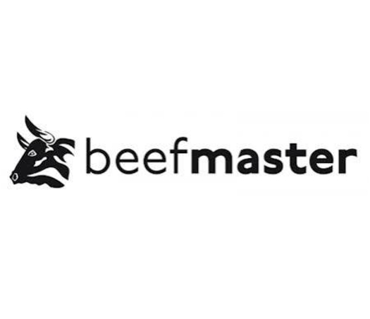 Beefmaster