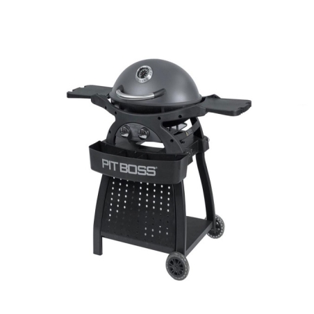 גריל גז 2 מבערים עם עגלה - SPORTSMAN 2 GRILL WITH CART